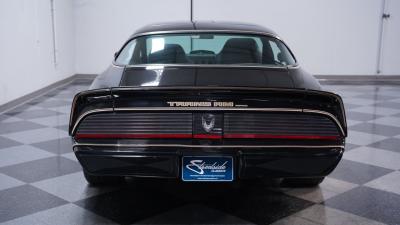 1981 Pontiac Firebird Trans Am