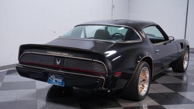 1981 Pontiac Firebird Trans Am