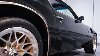 1981 Pontiac Firebird Trans Am