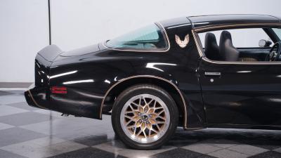 1981 Pontiac Firebird Trans Am