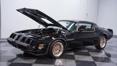 1981 Pontiac Firebird Trans Am
