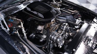 1981 Pontiac Firebird Trans Am