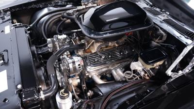 1981 Pontiac Firebird Trans Am