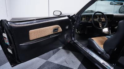 1981 Pontiac Firebird Trans Am