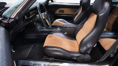 1981 Pontiac Firebird Trans Am