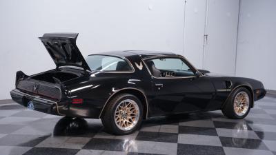1981 Pontiac Firebird Trans Am