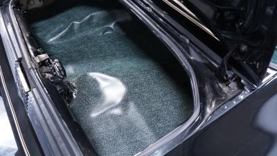 1981 Pontiac Firebird Trans Am