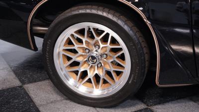 1981 Pontiac Firebird Trans Am