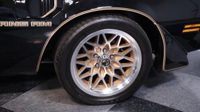 1981 Pontiac Firebird Trans Am