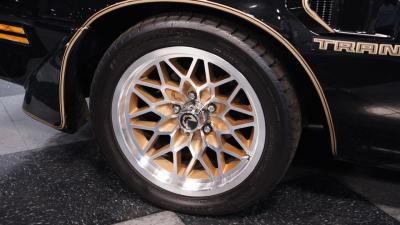 1981 Pontiac Firebird Trans Am