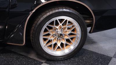 1981 Pontiac Firebird Trans Am