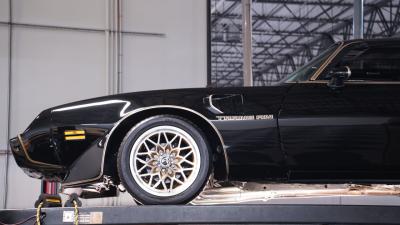 1981 Pontiac Firebird Trans Am