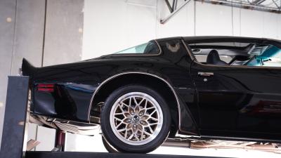 1981 Pontiac Firebird Trans Am