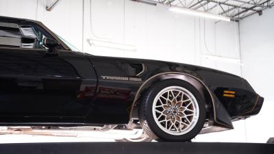 1981 Pontiac Firebird Trans Am