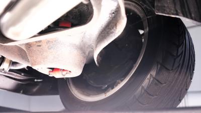 1981 Pontiac Firebird Trans Am