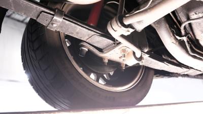 1981 Pontiac Firebird Trans Am