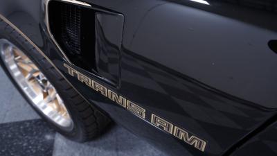 1981 Pontiac Firebird Trans Am
