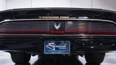 1981 Pontiac Firebird Trans Am