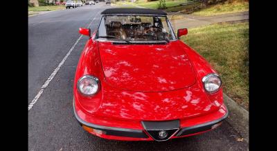 1983 Alfa Romeo SPIDER VELOCE