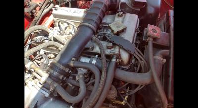 1983 Alfa Romeo SPIDER VELOCE