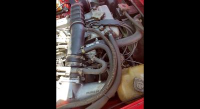 1983 Alfa Romeo SPIDER VELOCE