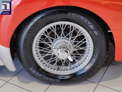 1954 Triumph TR2 LONG DOOR