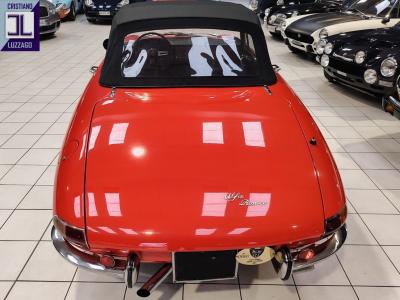 1967 Alfa Romeo DUETTO SPIDER 1600 &ldquo; GRADUATE&rdquo;