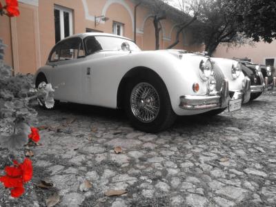 1956 Jaguar XK 140 FHC