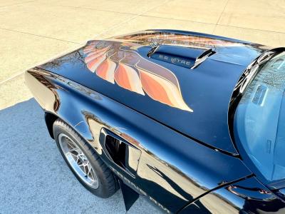 1979 Pontiac Trans Am