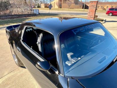 1979 Pontiac Trans Am