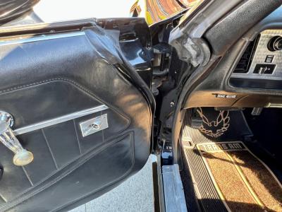 1979 Pontiac Trans Am