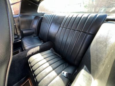 1979 Pontiac Trans Am