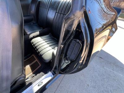 1979 Pontiac Trans Am