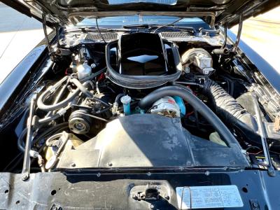 1979 Pontiac Trans Am