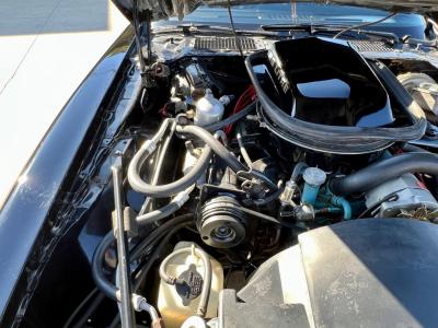 1979 Pontiac Trans Am