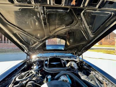 1979 Pontiac Trans Am