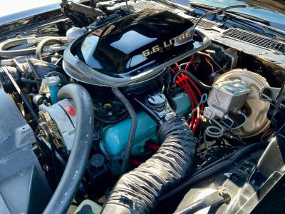 1979 Pontiac Trans Am