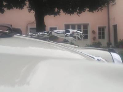 1952 Jaguar XK 120 Roadster