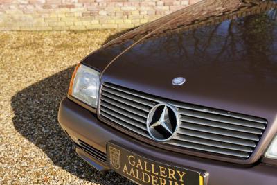 1993 Mercedes - Benz 300 SL &ldquo;Brown over brown&rdquo;