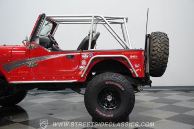 1995 Jeep Wrangler SE/YJ