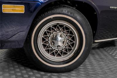 1979 Chevrolet Camaro