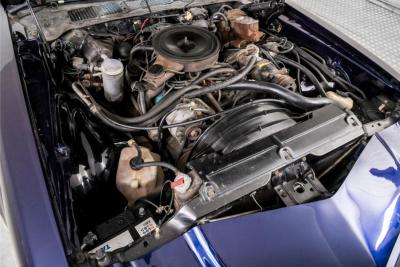 1979 Chevrolet Camaro