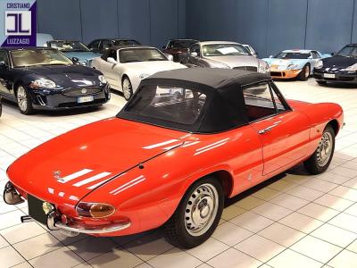 1967 Alfa Romeo DUETTO SPIDER 1600 &ldquo; GRADUATE&rdquo;