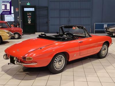 1967 Alfa Romeo DUETTO SPIDER 1600 &ldquo; GRADUATE&rdquo;