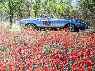 1965 Jaguar E TYPE ROADSTER S1