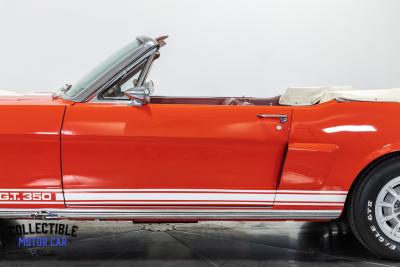 1966 Ford Mustang Shelby GT350 Tribute