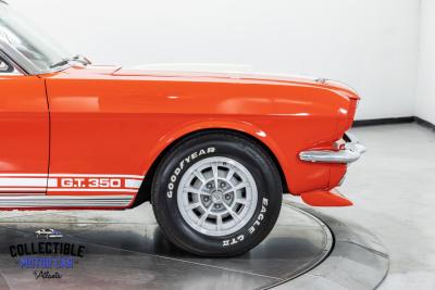 1966 Ford Mustang Shelby GT350 Tribute