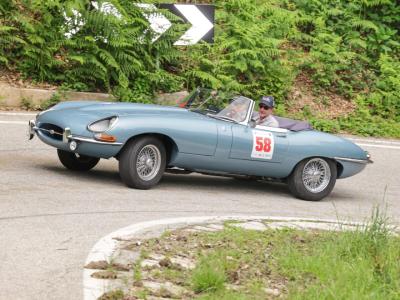 1965 Jaguar E TYPE ROADSTER S1