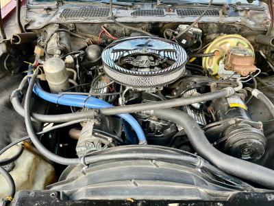 1979 Chevrolet Camaro Z/28