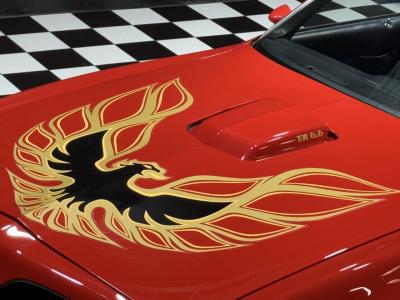 1977 Pontiac Firebird Trans Am